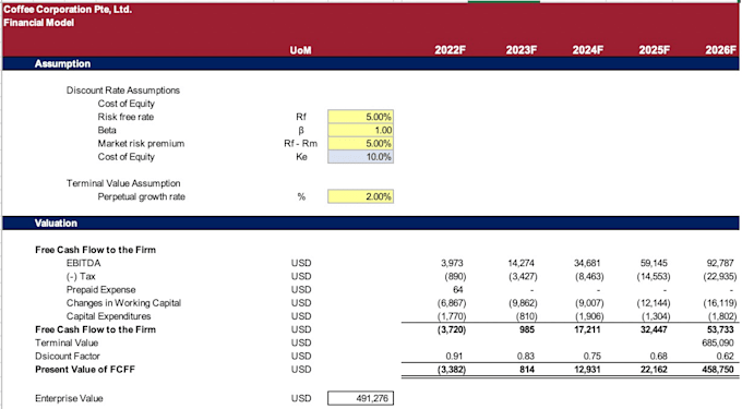 Build a financial model and analysis for your business by Hui celin