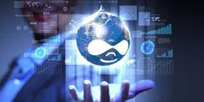 do customize drupal website and fix bug