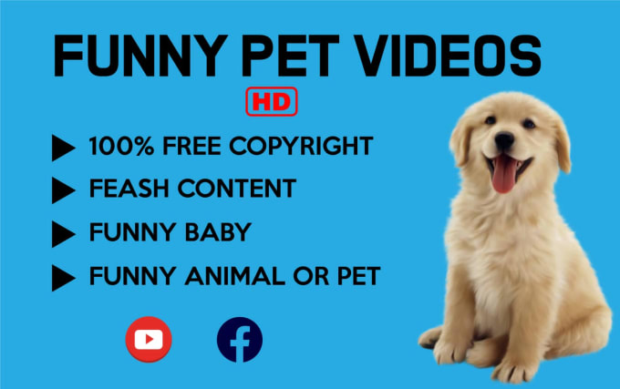 Copyright free funny on sale animal videos