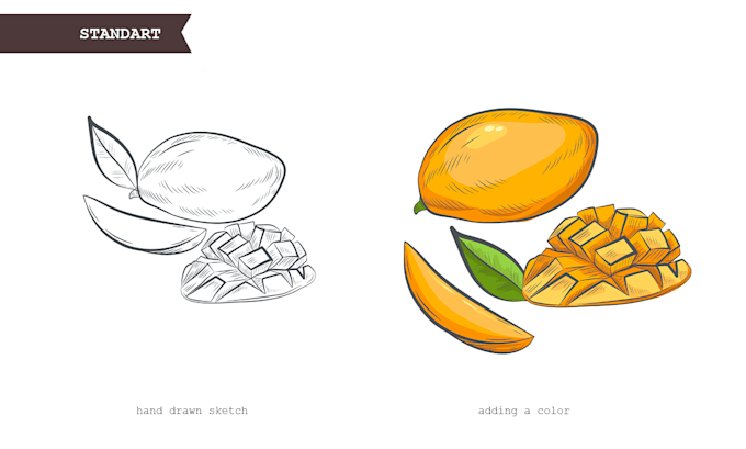 hand draw a vector sketch of anything you need