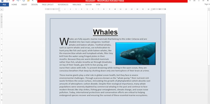 type your handwritten notes to ms word