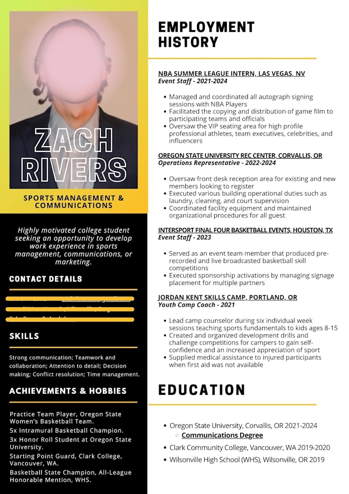 create an eye catchy and stylish CV