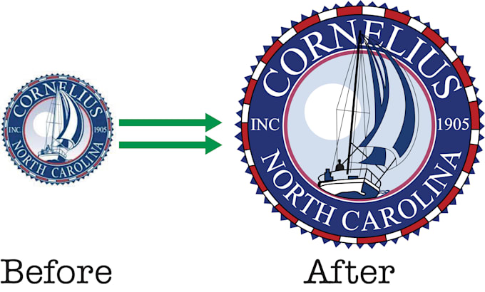 professionally vectorise and redraw anything