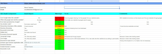 audit your website and provide a detailed SEO audit report
