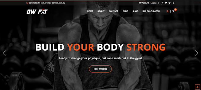 do customization, redesign, and full website creation