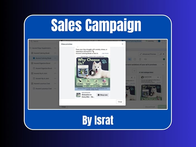 setup and manage facebook ads campaign, shopify fb advertising