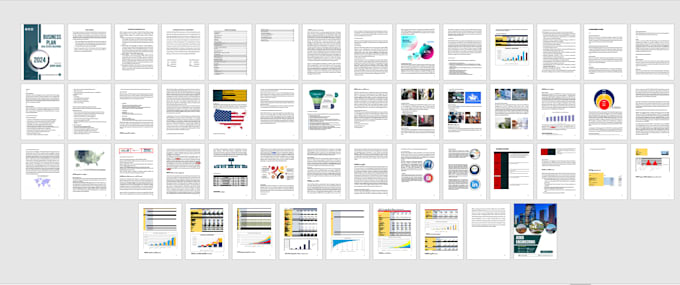 write and design a complete business plan with pitch deck