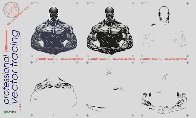 do vector tracing, color separation, and redraw