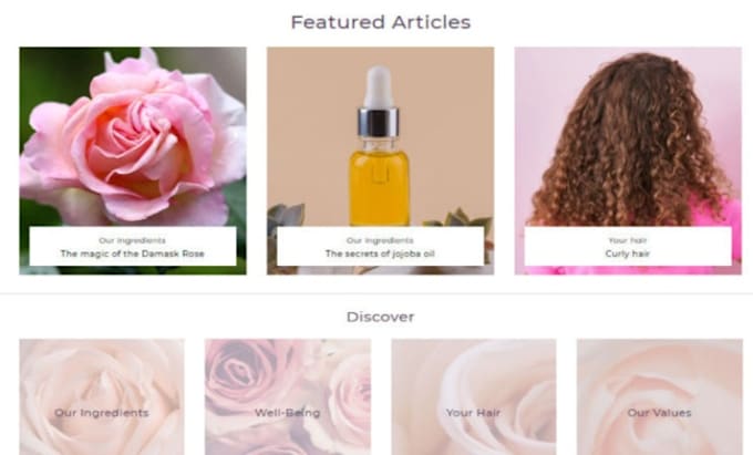 do shopify custom pages,sections and blogs posts shopify developer