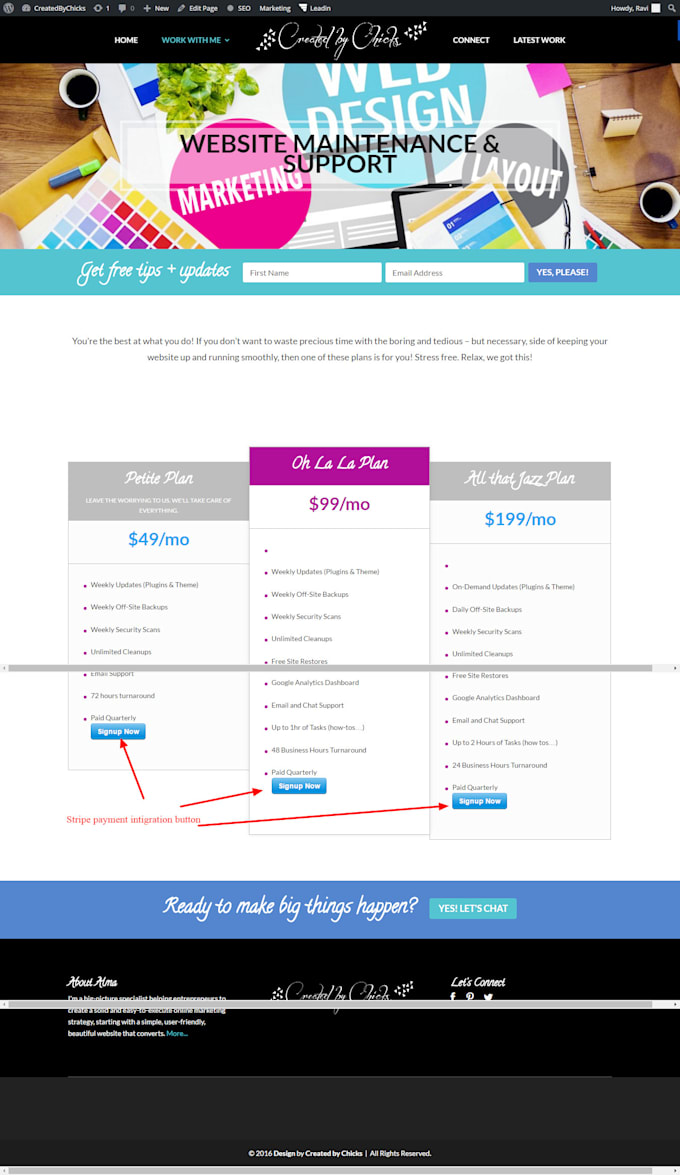 maintain website bug fixing and remove malware in wordpress