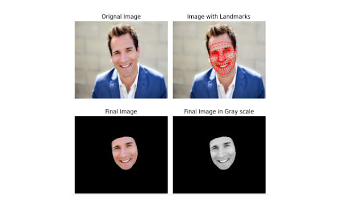 provide custom facial recognition, face verification, liveness detection