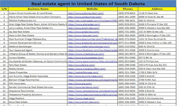 be your virtual assistant to do data entry, copy paste and web research