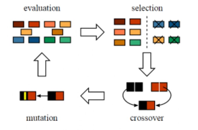 Do genetic algorithms and optimization tasks in 24 hours by ...