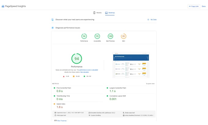 optimize, speed up wordpress professionally for google pagespeed insights