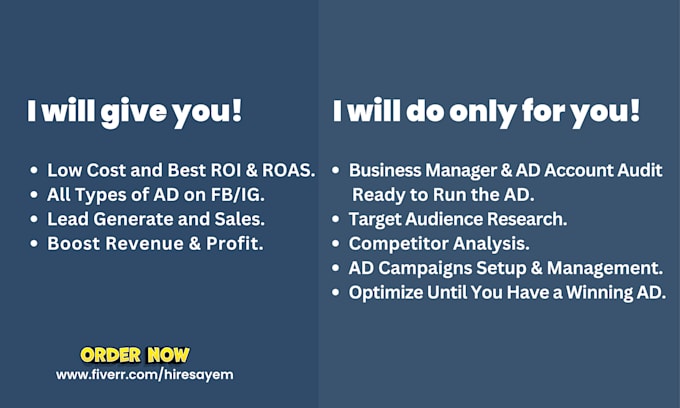 be your facebook ads manager, shopify dropshipping fb ads, fb lead generation