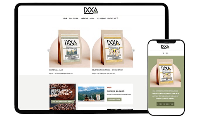 develop wordpress landing page, blog site, ecommerce website with divi theme