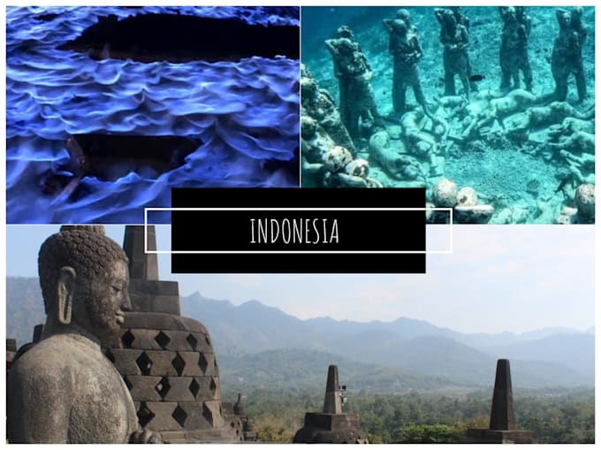 plan your dream travel