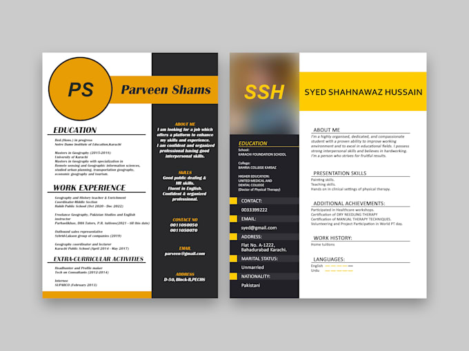 design custom resume or CV to elevate your career