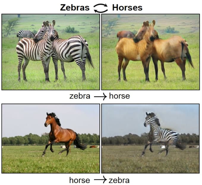 image processing , classification, yolo and gans