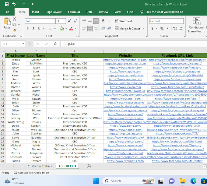 be your virtual assistant for data entry, copy paste, research, typing