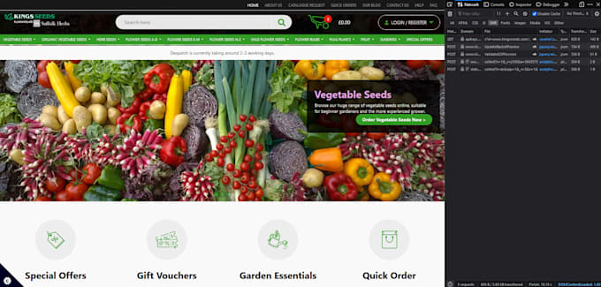 provide user testing and usability testing with detailed video feedback