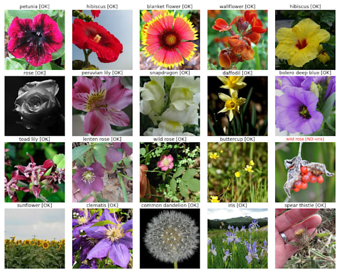 TENSORFLOW IMAGE CLASSIFIER visual data 8