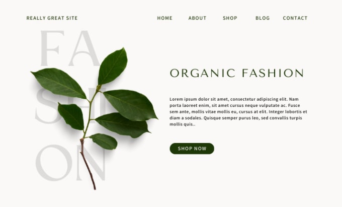 make the exact copy, redesign or clone of any website