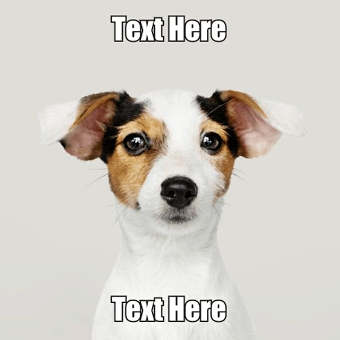 make a meme with text of your choice