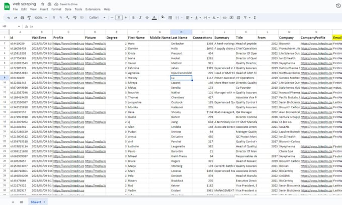 do web scraping any website or directory pages and google maps