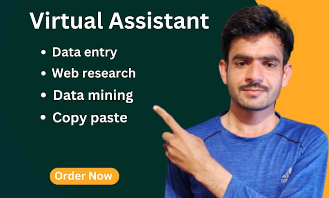be your virtual assistant for web research, data entry, data mining, copy paste