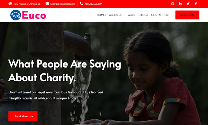 Curated visual reference: Picture Idea: Build Charity Website Non Profit Website Fundraising Website With
