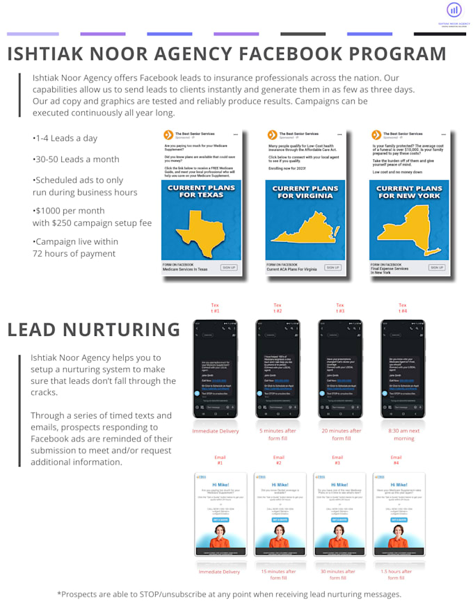 setup a facebook lead generation campaign for local business