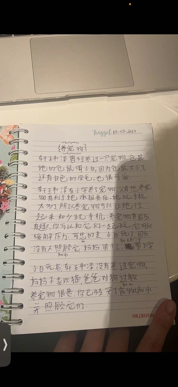 multilingual maestro expert translator and language connoisseur