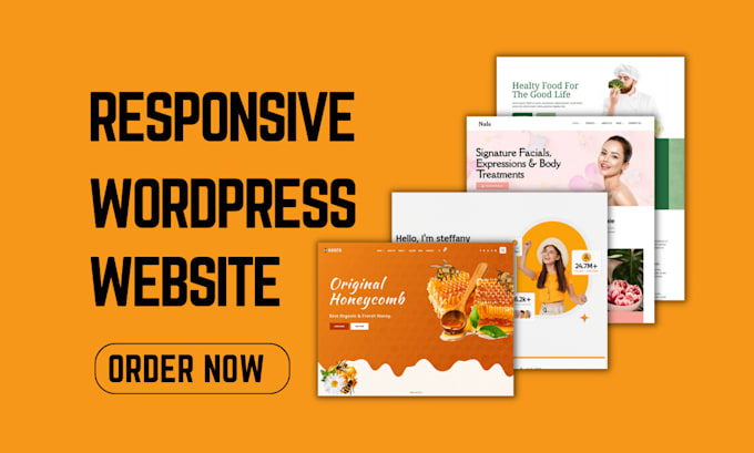 design, redesigned, clone and customized wordpress website using elementor