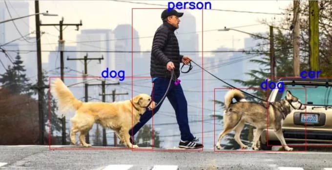 develop object detection solutions