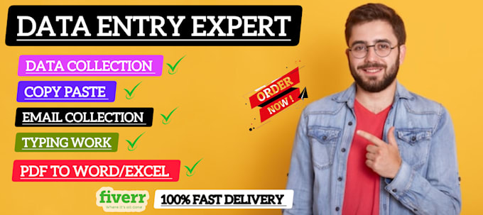 data entry, manual typing, copy paste and pdf to word, excel