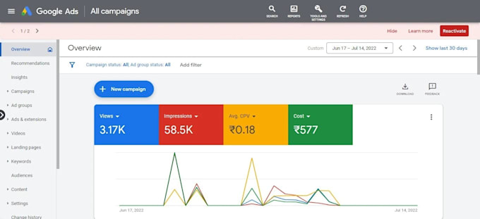 be your professional google ads and social media marketing manager