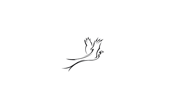design superior conventional bird logo