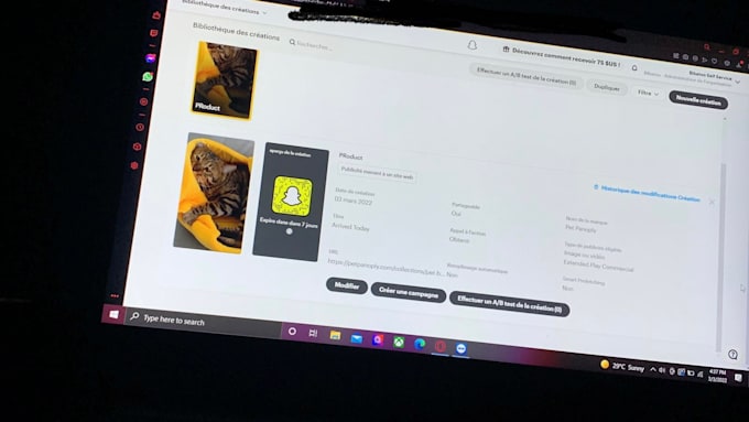 do snapchat ads and ads campaign management