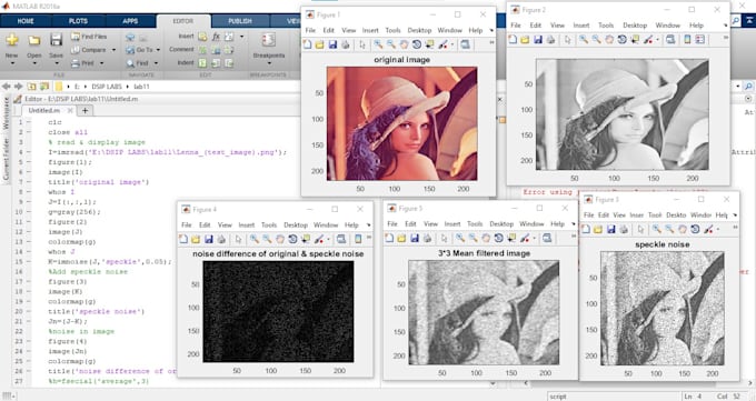 Do matlab programming for digital signal and image processing projects ...