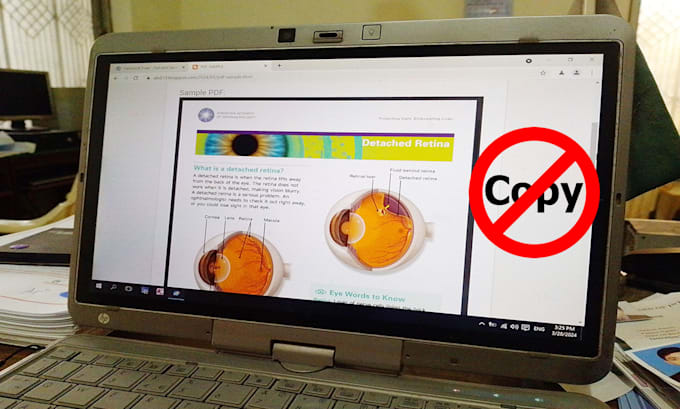 provide online copy protection for video, pdf and photo