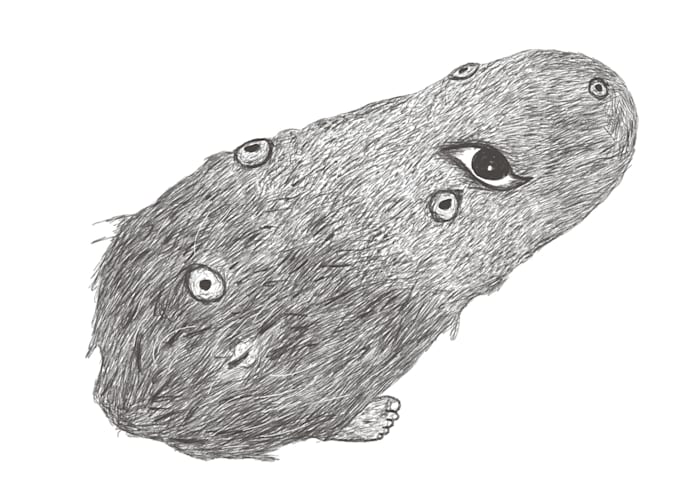 do custom illustrations, free hand drawing, services