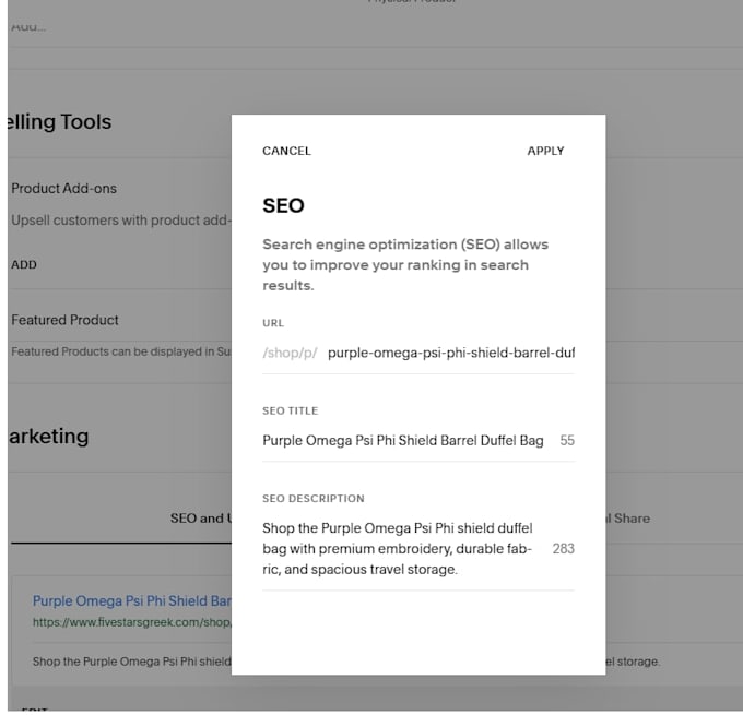 do on page seo optimizatipn for wordpress, shopify, wix website