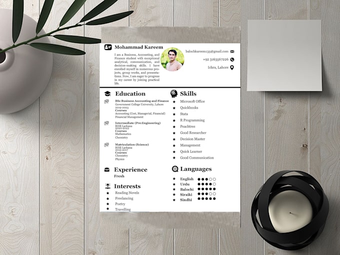 create professional resume design and CV design