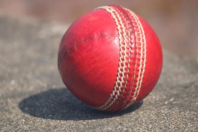 design and manufacture custom cricket bats, ball and kits
