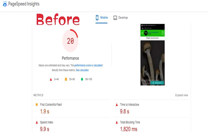 do wordpress speed optimization, fix core web vital issues