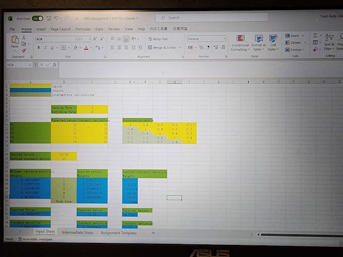 solve problems about financial modeling and optimisation with excel