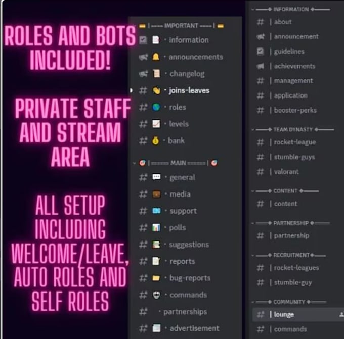 Make you a custom discord streamers community server by Drixxyst Fiverr