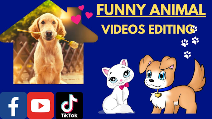 Tiktok Funny Animal Videos With Music Tiktok Funny Dog Videos