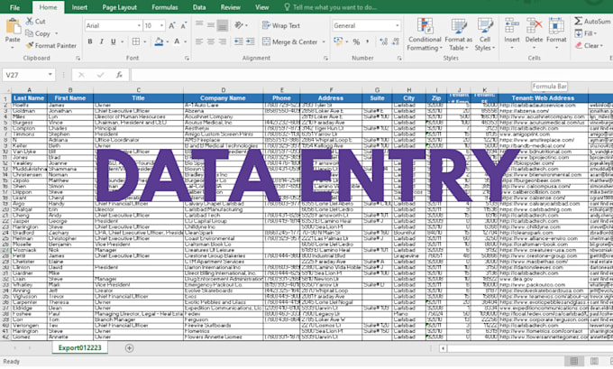 do data entry excel, web scraping, web research, excel sheet